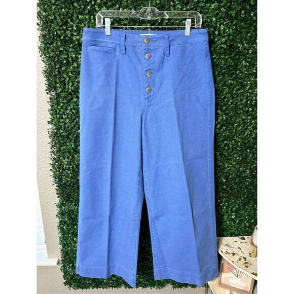 NWT Madewell - Blue distressed cotton canvas wide leg button fly pants, Sz 31 Ta - Picture 1 of 4